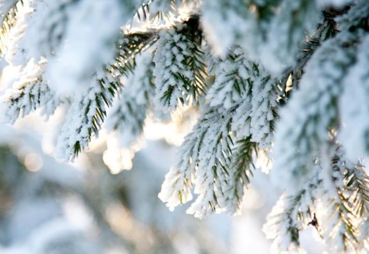 Meteo: Σε ποια περιοχή άγγιξε τους -11 βαθμούς η ελάχιστη θερμοκρασία την Τετάρτη