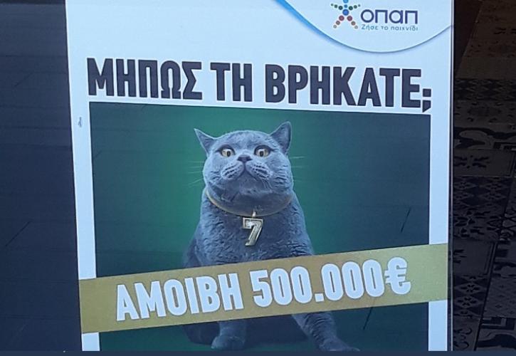 Kυνήγι σε όλη την Ελλάδα για μία γάτα με αμοιβή 500.000 ευρώ