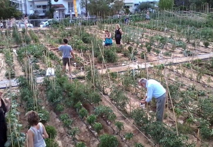 Οι φοιτητές του ΑΠΘ βοηθούν τους πολίτες να φτιάξουν λαχανόκηπους