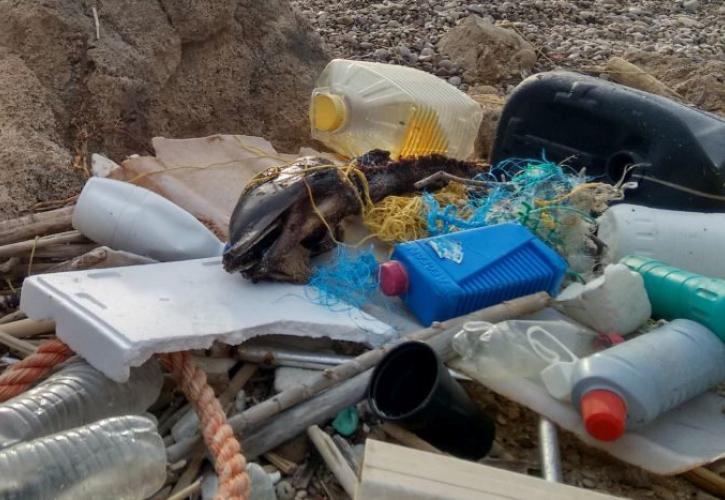 Ινδονησία: Mεγάλη επιχείρηση καθαρισμού των ακτών στο Μπαλί, που έχουν κατακλυστεί από πλαστικά απορρίμματα