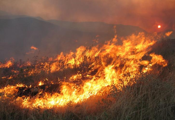 Μεγάλης έκτασης πυρκαγιά στο Πλωμάρι της Λέσβου