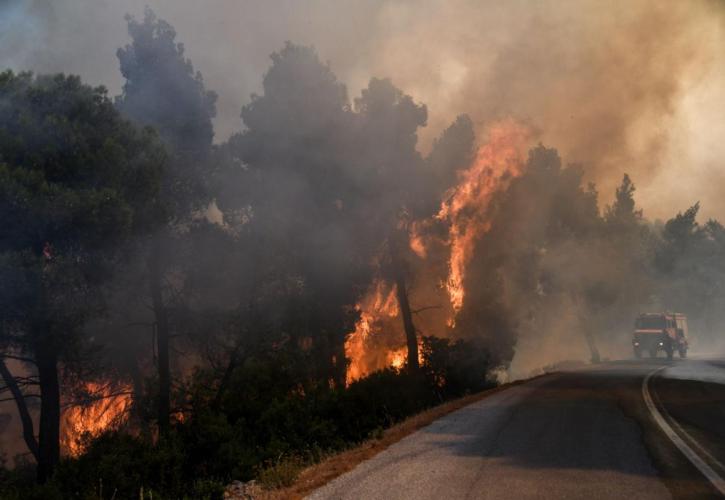 Δύσκολη νύχτα στην Εύβοια - Οικολογική καταστροφή στο πευκοδάσος Natura - Ξεπερνά τα 11,5 χιλ. το πύρινο μέτωπο (pics & vid)