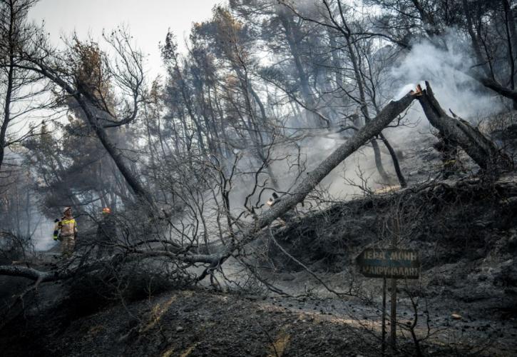 Πυρκαγιά στην Εύβοια: Από εμπρησμό η φωτιά – Ανακρίνεται ένα άτομο