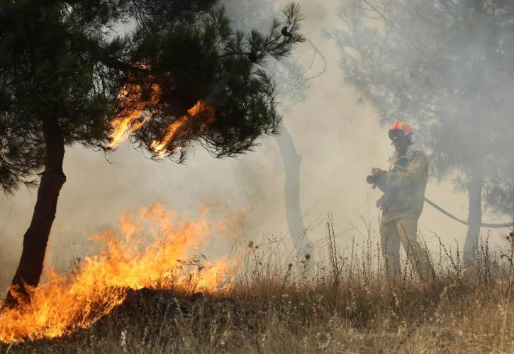 Πάτρα: Σε ύφεση η φωτιά στην Πούντα Αιγιαλείας