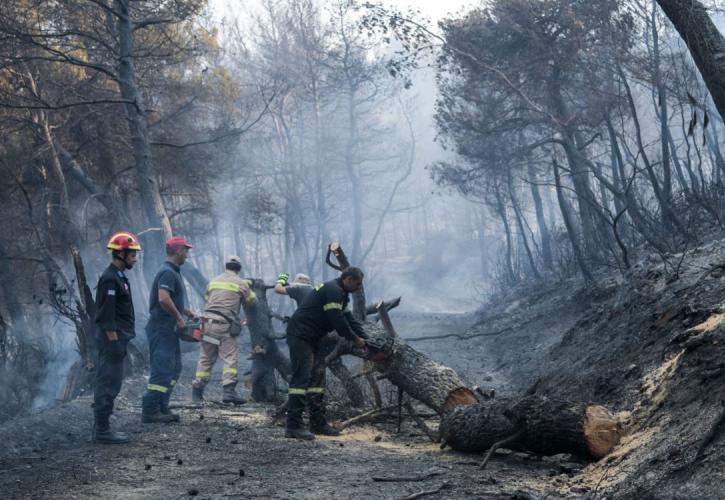 Συνεχίζεται η προσπάθεια κατάσβεσης στην Εύβοια - Επί ποδός το σύνολο των δυνάμεων