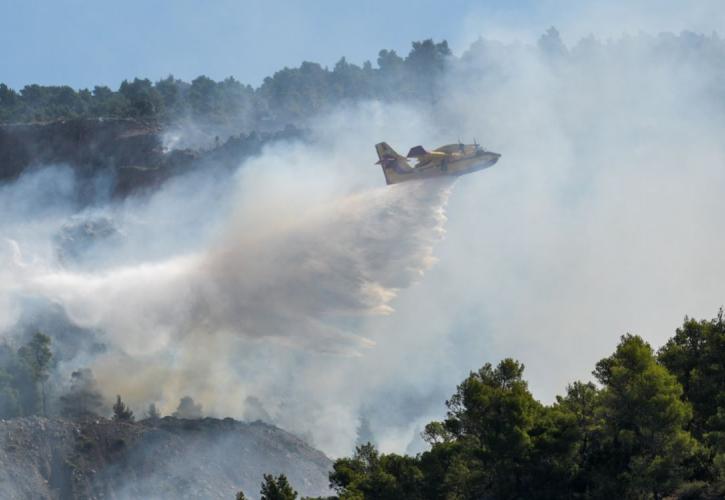 Για τρίτη ημέρα μαίνεται η μεγάλη φωτιά στην Εύβοια (pics)