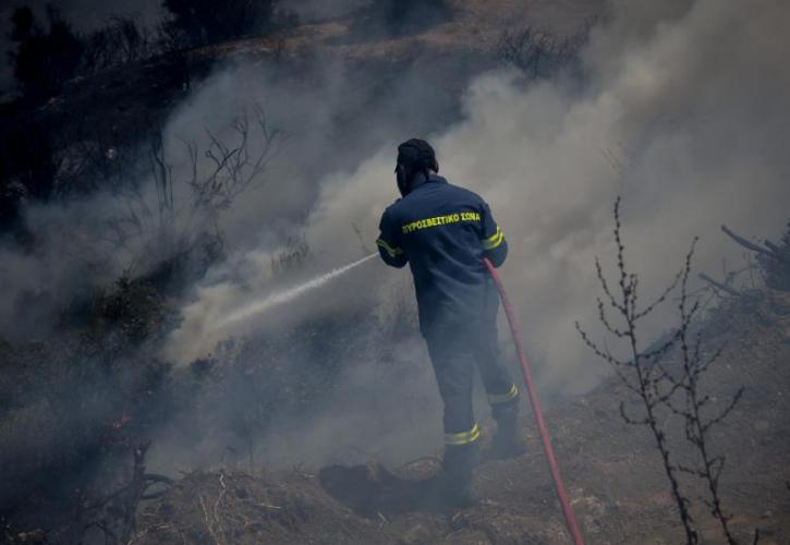 Πρόεδρος Πυροσβεστών: Θα οριοθετηθεί σήμερα η πυρκαγιά στην Εύβοια