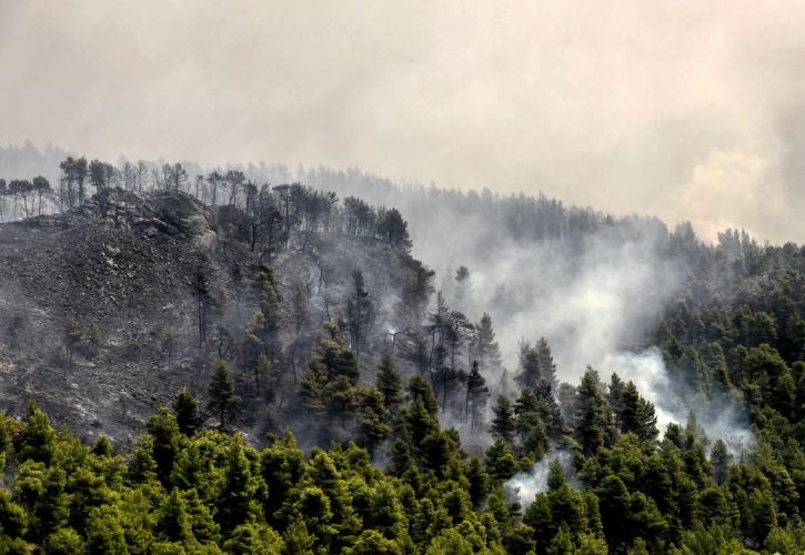 Μάχη με τις φλόγες στην Εύβοια - Ξεπέρασε τα 11,5 χιλ. το πύρινο μέτωπο (pics)