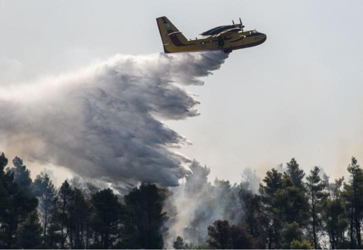 Συνεχίζεται η μάχη με τις φλόγες υπό το φόβο των αναζοπυρώσεων (pics)