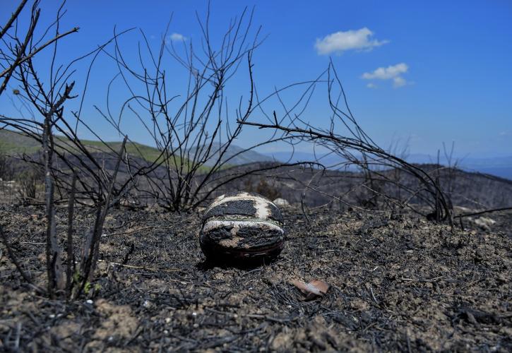 Δωρεά ομίλου Κοπελούζου στις πληγείσες περιοχές της Αττικής