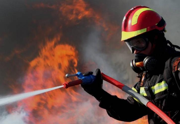 Φωτιά σε δύσβατη δασική περιοχή στη Μόλα Καλύβα στη Χαλκιδική - Ενισχύονται οι δυνάμεις πυρόσβεσης