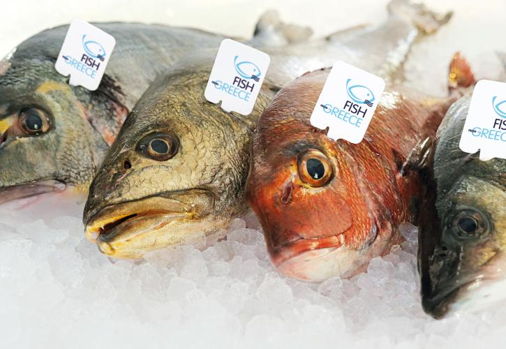 Επενδύσεις 7 εκατ. ευρώ για την προώθηση του «Fish from Greece»