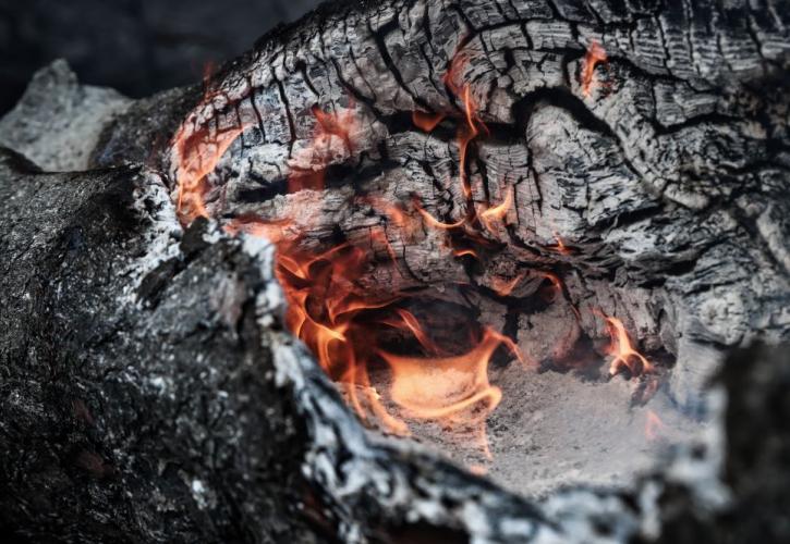 Εμπρησμό μαρτυρούν τα στοιχεία για την μεγάλη πυρκαγιά στην Εύβοια