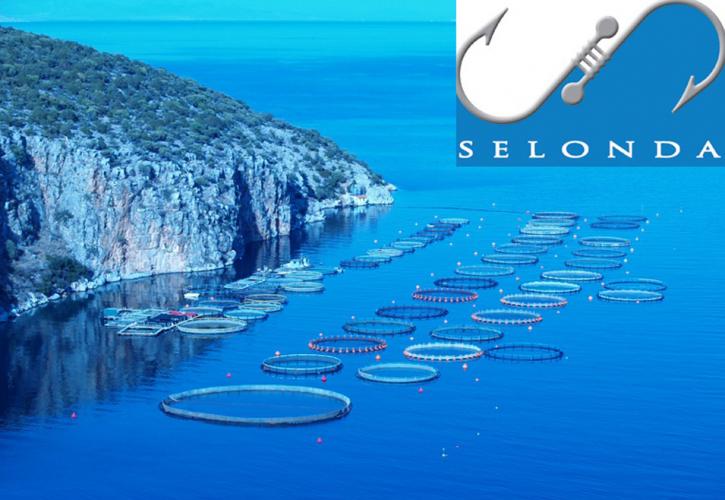 Σελόντα: Έλαβε την πιστοποίηση Fish from Greece