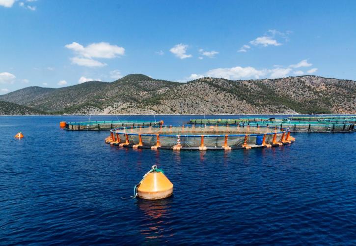 Έμφαση στην εξωστρέφεια από την Ελληνική Οργάνωση Παραγωγών Υδατοκαλλιέργειας