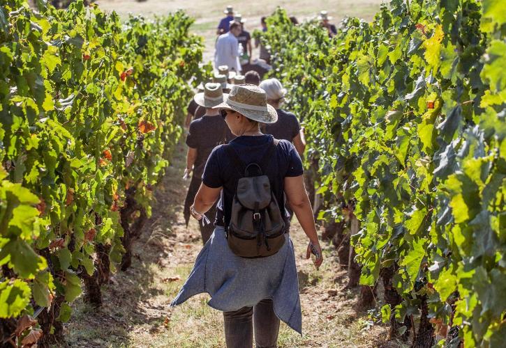 Grape Escape: Ταξίδι στον κόσμο του ελληνικού κρασιού