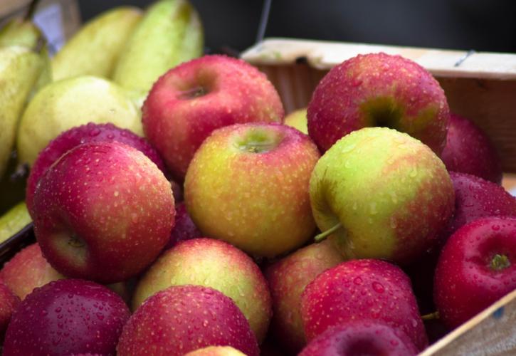 «Πράσινο φως» για τις εξαγωγές ελληνικών μήλων στην Ινδία