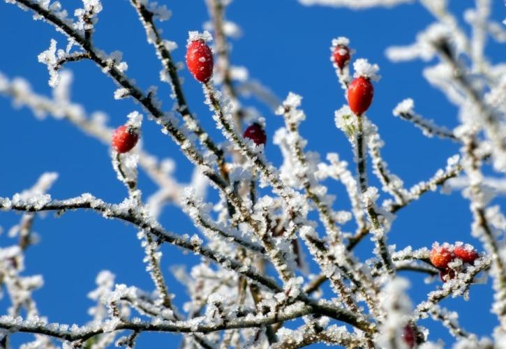 Meteo: Έως τους -4 βαθμούς η ελάχιστη θερμοκρασία το πρωί της Παρασκευής