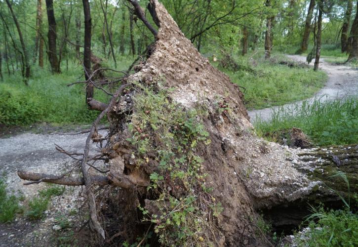 15 εκ. ευρώ από το Πράσινο Ταμείο στους δήμους για απόκτηση κοινόχρηστων χώρων