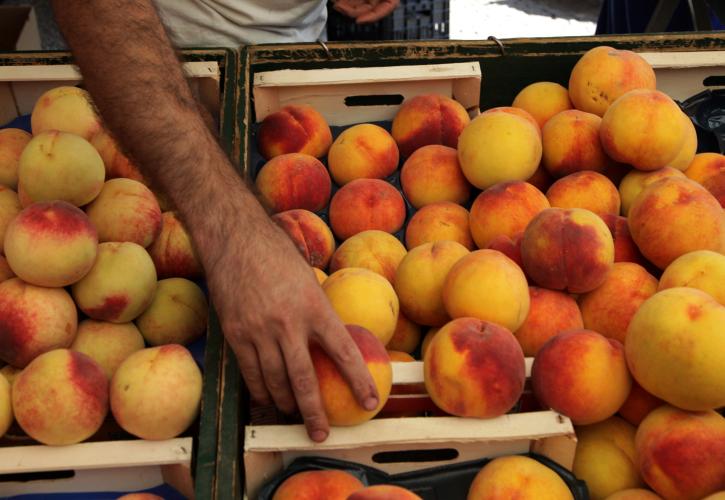 Αυξήθηκαν κατά 300% οι ελληνικές εξαγωγές στην Αίγυπτο