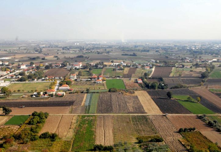 ΥΠΑΑΤ: Πώς θα γίνει η πληρωμή αγροτεμαχίων έως 20 στρέμματα παρά τα ζητήματα ΚΑΕΚ