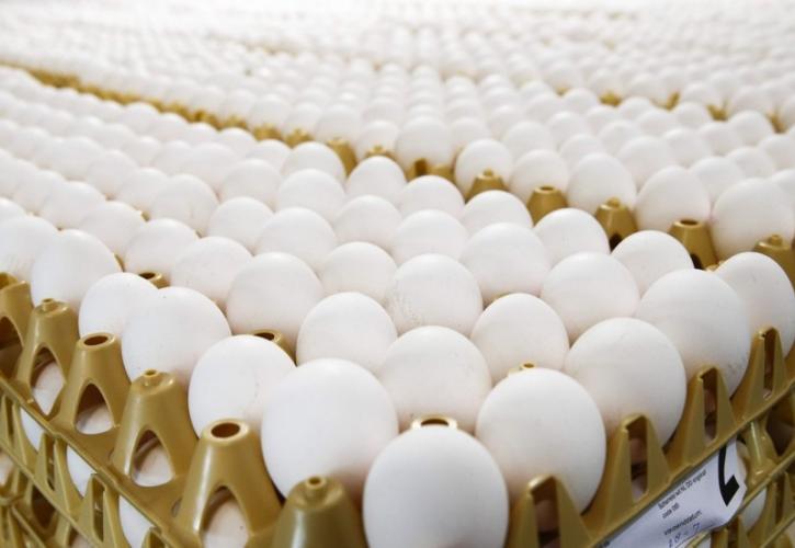 Στα «δίχτυα» του ΣΔΟΕ 324.000 αυγά Βουλγαρίας που είχαν εισαχθεί χωρίς παραστατικά