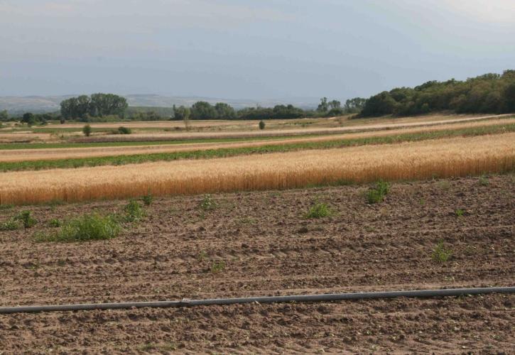 Γιατί «χαλάνε» τα ζώα και δεν σπέρνουν τα χωράφια;