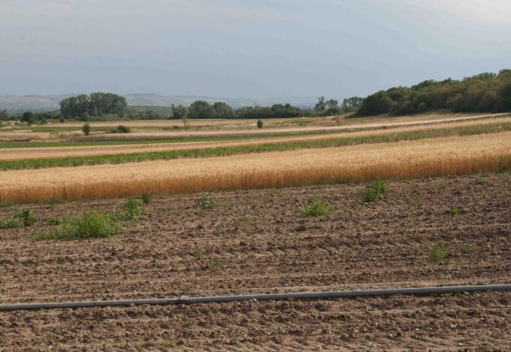 Ιδιωτική κερδοσκοπία και κρατική/δημοτική αδράνεια και στο βάθος πολιτικό κόστος (Μέρος 4)