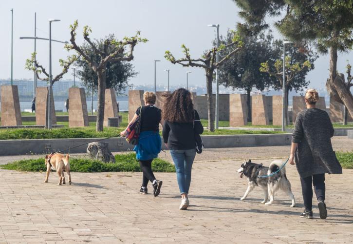 Ζώα συντροφιάς και ο νέος κορονοϊός. Τι γνωρίζουμε;