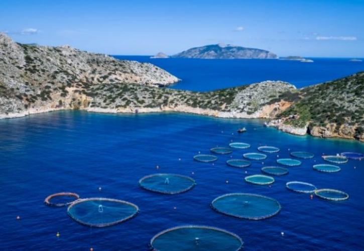 Αυξήθηκαν οι εξαγωγές των ελληνικών ψαριών το 2018 – Επενδύσεις 97 εκατ. ευρώ