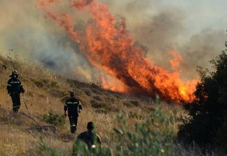 Συνεχίζεται η μάχη με τις φλόγες σε Αργολίδα και Φωκίδα - Φωτιά στο Πόρτο Γερμενό - Όλα τα μέτωπα