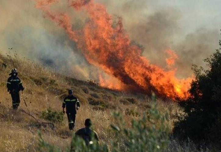 Σε 46 ανήλθαν οι δασικές πυρκαγιές το τελευταίο 24ωρο