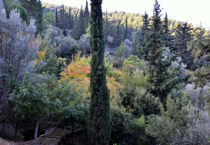 Παράταση αναστολής οικοδομικών εργασιών στον Υμηττό