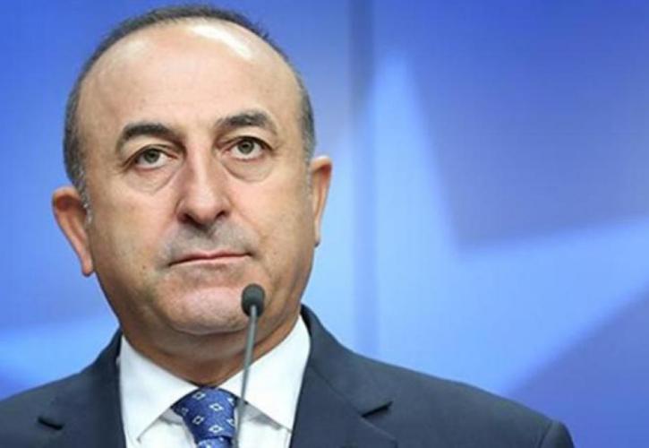 Η Τουρκία πρόθυμη να συνδράμει την Λιθουανία στο θέμα των μεταναστών