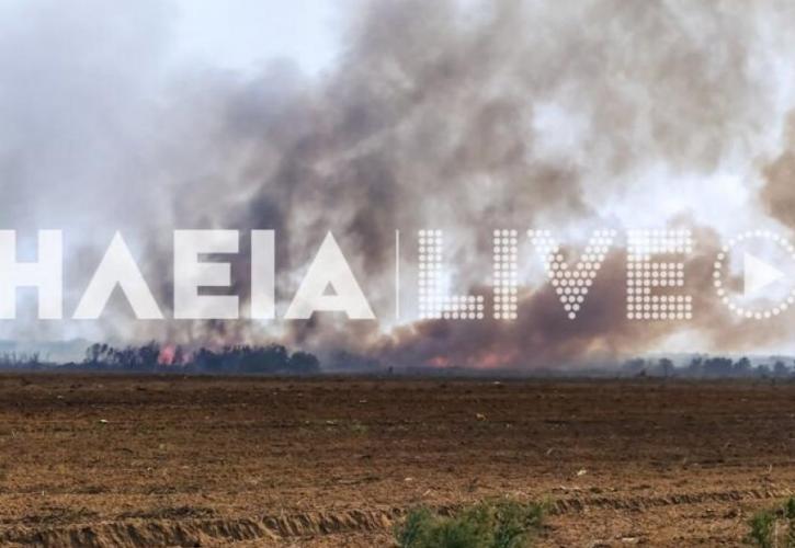 Μεγάλη φωτιά στην Μανωλάδα Ηλείας