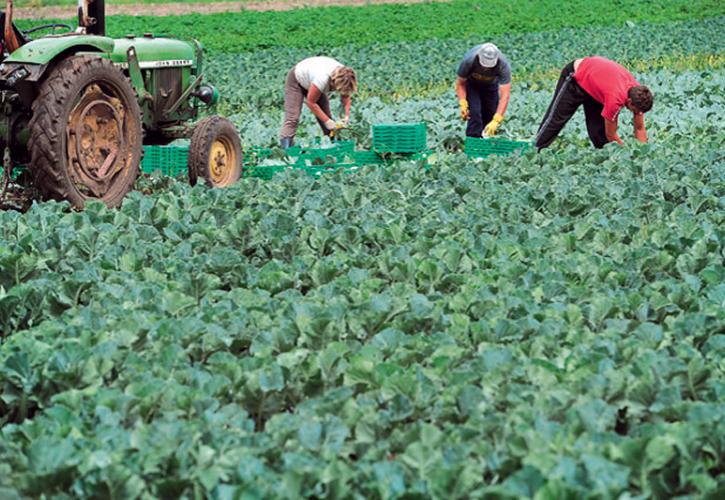 Απαλλάσσονται από το τέλος επιτηδεύματος 2019 οι κατ’ επάγγελμα αγρότες