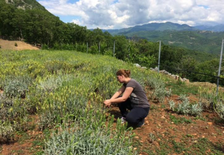 Ολοκληρώνεται το πρόγραμμα «ΕΥΔΟΚΙΜΗ ΓΗ» του TAP