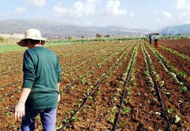 Πρόγραμμα Women in Agriculture για τις γυναίκες που θέλουν να ασχοληθούν επαγγελματικά με αγροδιατροφή και αγροτουρισμό