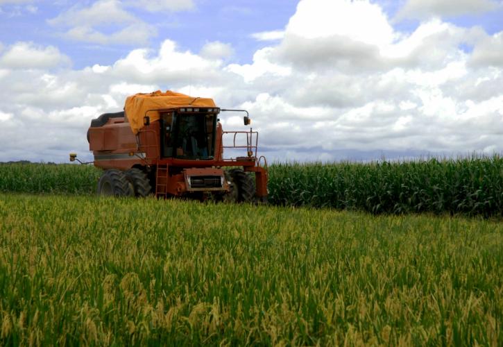 Λιβανός: Μεγαλύτερο ποσοστό ενισχύσεων προς τις μικρές γεωργικές εκμεταλλεύσεις