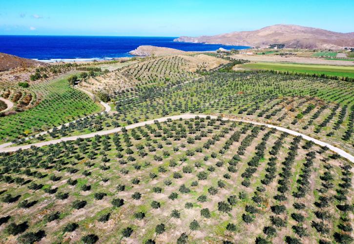 Μυτιλήνη: Μια «πράσινη» επένδυση στη δυτική Λέσβο