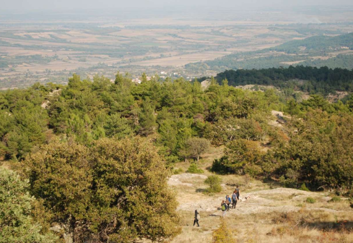 700 προσλήψεις στο υπουργείο Περιβάλλοντος - Όλες οι ειδικότητες