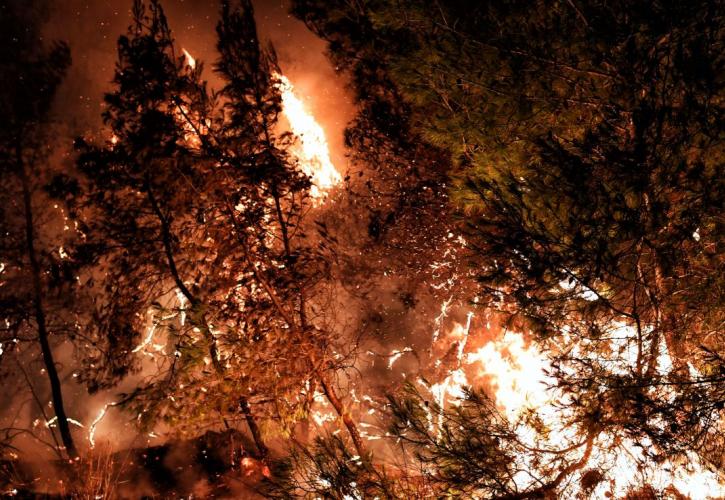 Υπό έλεγχο η φωτιά στο Μεσοβούνι της Αργολίδας