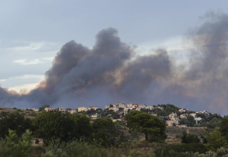 Παράταση αναστολής πλειστηριασμών για τους πυρόπληκτους στο Μάτι