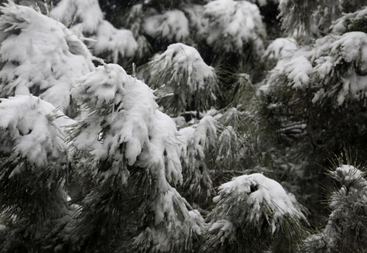 ΕΜΥ: Μία από τις εντονότερες των τελευταίων 40 ετών η χιονόπτωση