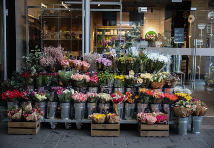 Ανεβαίνουν οι τιμές σε φυτά και λουλούδια - Γιατί ακριβαίνουν; (vid)