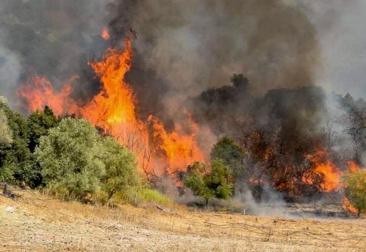 Ηλεία: Τραυματίες πυροσβέστες και εγκλωβισμένοι στα Βίλλια - Καίγεται η περιοχή Νεμούτα