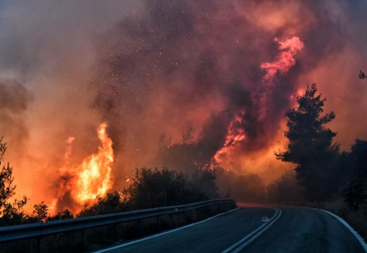 Ιταλία: Τεράστιες πυρκαγιές στη Σαρδηνία - Πάνω από 200.000 στρέματα έχουν χαθεί