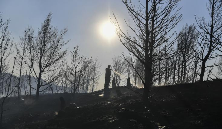 Πυρκαγιές 2025: Αύξηση έως και 1.200% στην Ευρώπη - Πού βρίσκεται η Ελλάδα