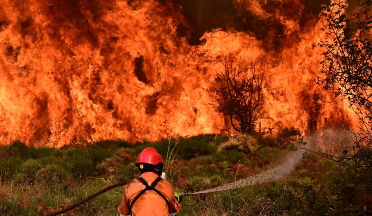 Ευρώπη: Σε επίπεδα ρεκόρ οι εκπομπές διοξειδίου του άνθρακα λόγω των δασικών πυρκαγιών