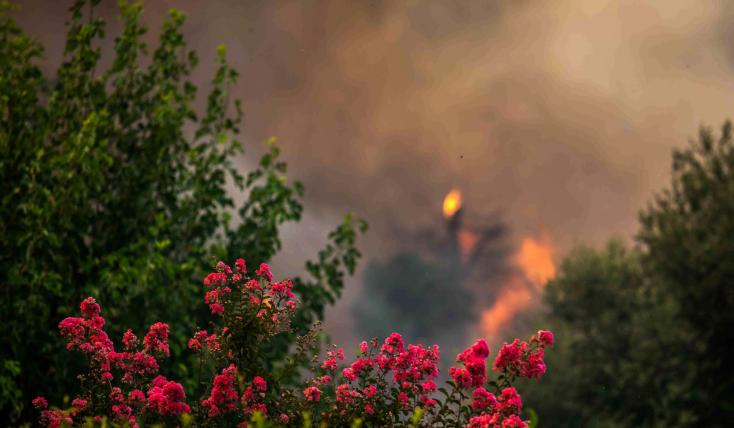 Πολύ υψηλός κίνδυνος πυρκαγιάς την Κυριακή σε Ρόδο, Κάρπαθο, Κω και Κάλυμνο